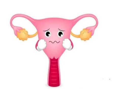 2023年株洲妇幼保健院做试管婴儿好不好？内附技术分析_1